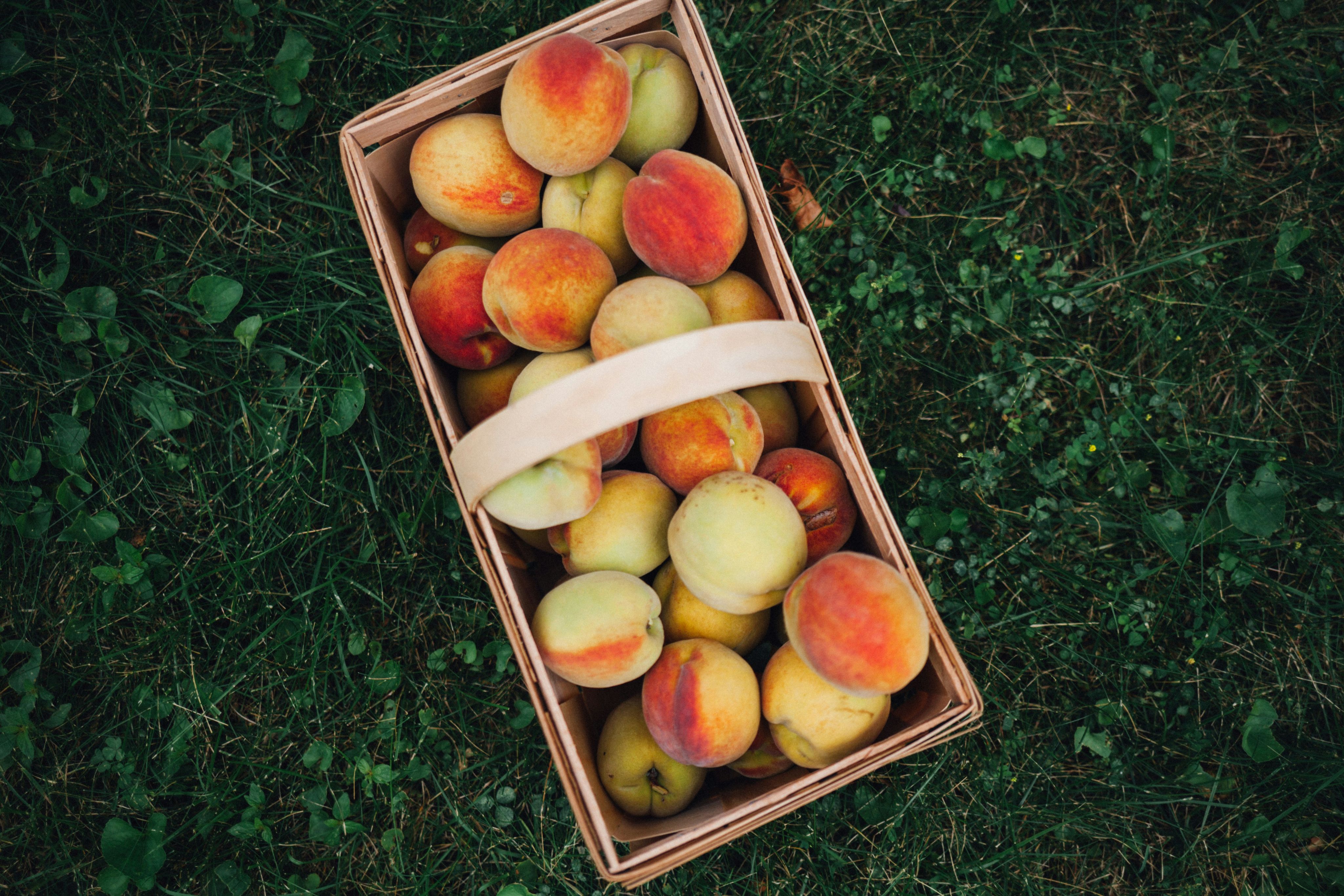 peaches in brown basket