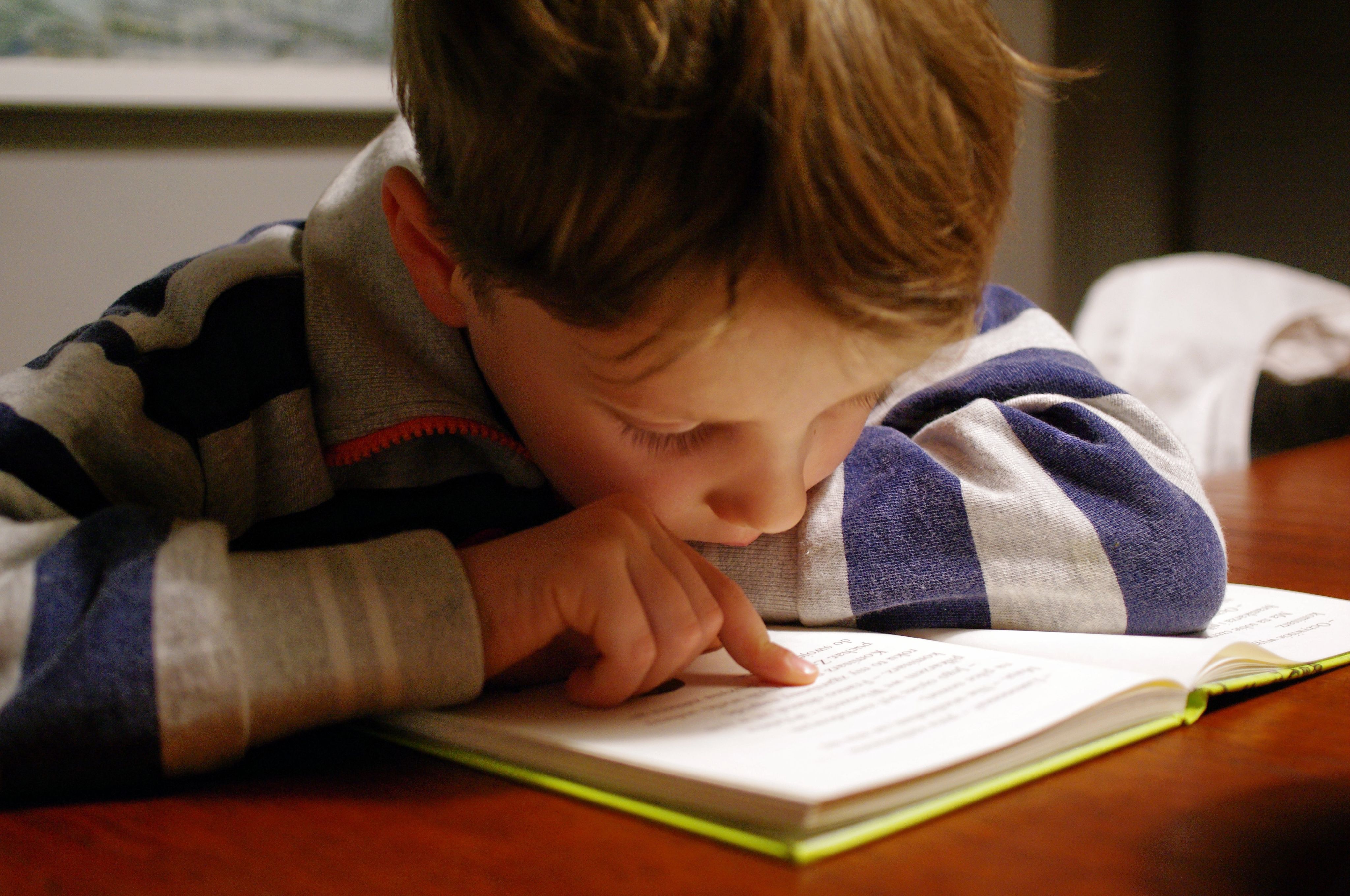 boy in gray and red hoodie reading book