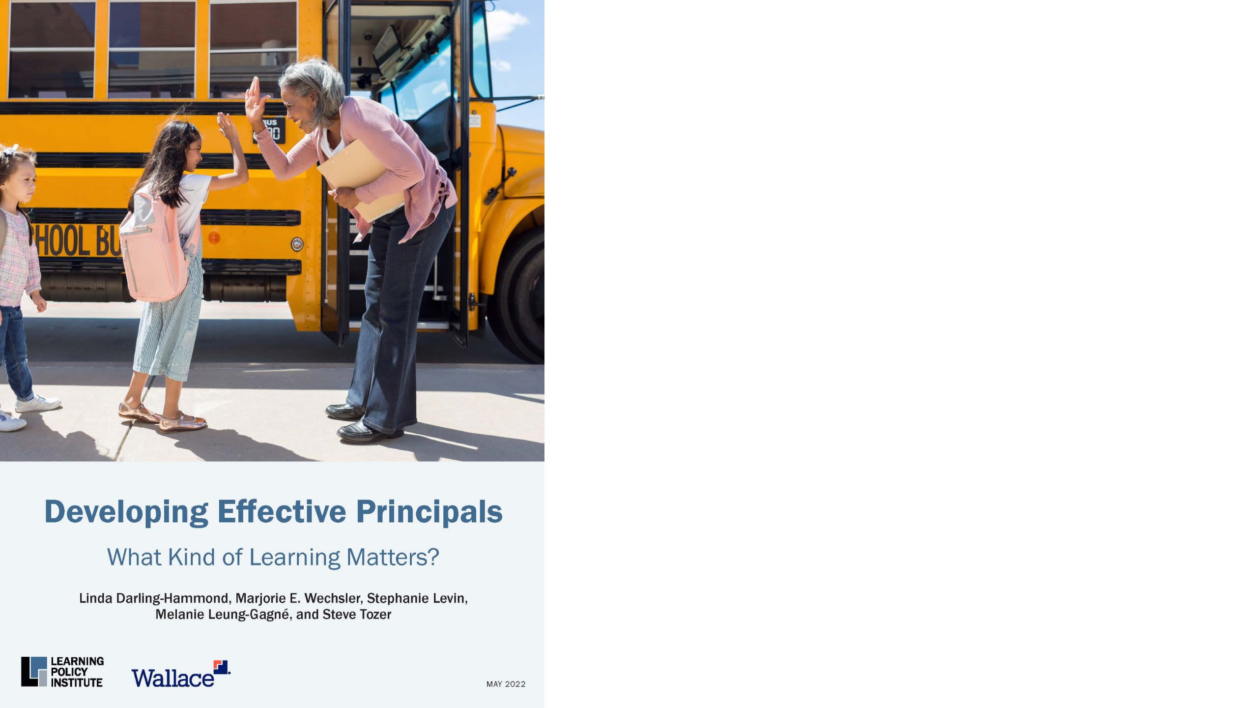 Developing Effective Principles cover